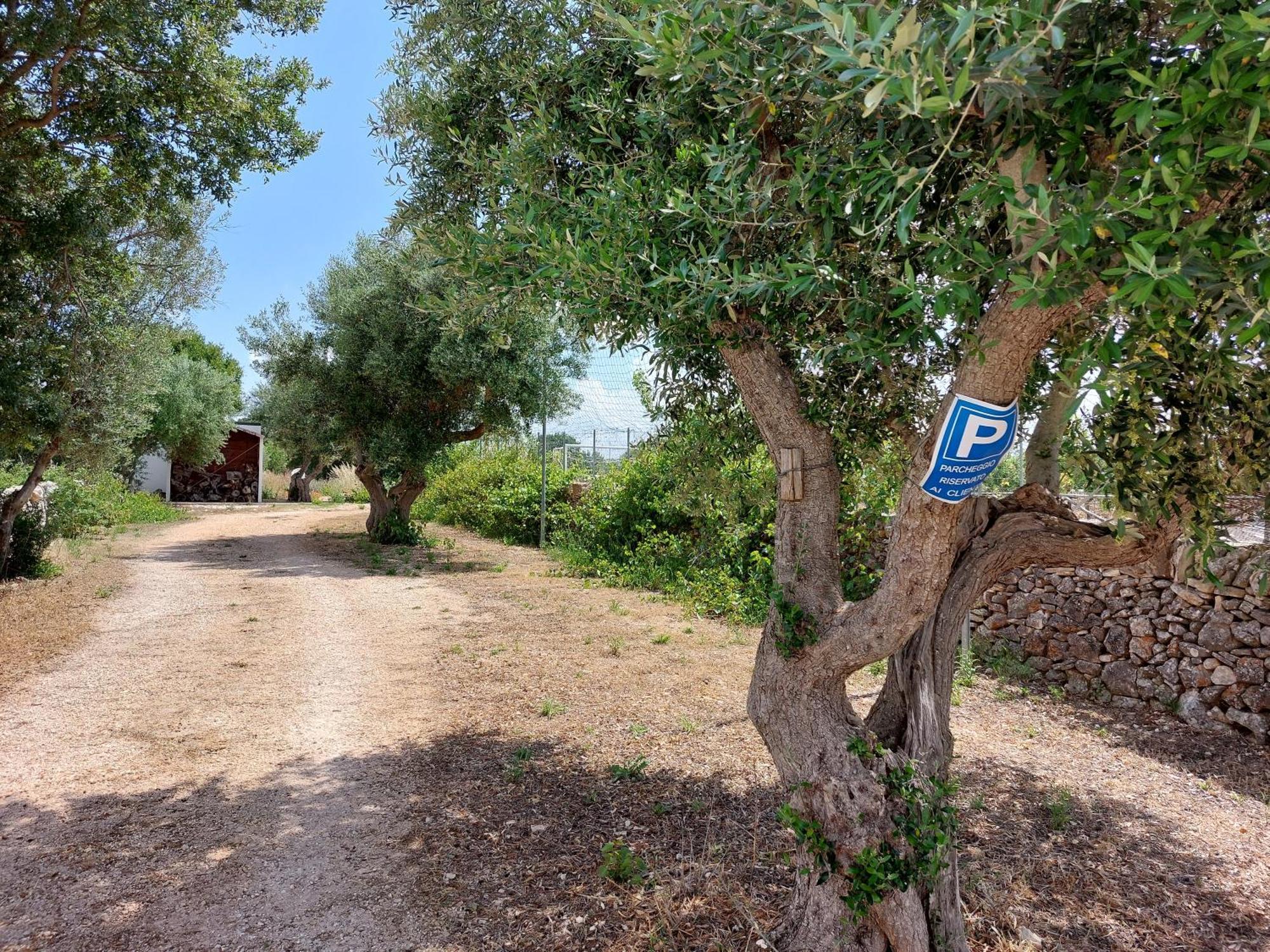 Bed and Breakfast Trulli Don Diego Noci Exterior foto