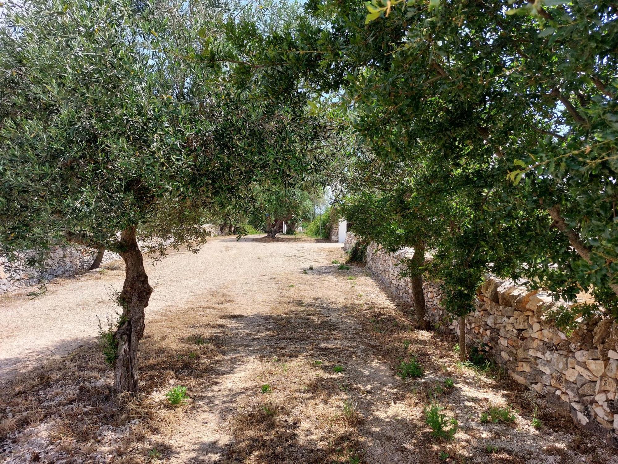 Bed and Breakfast Trulli Don Diego Noci Exterior foto