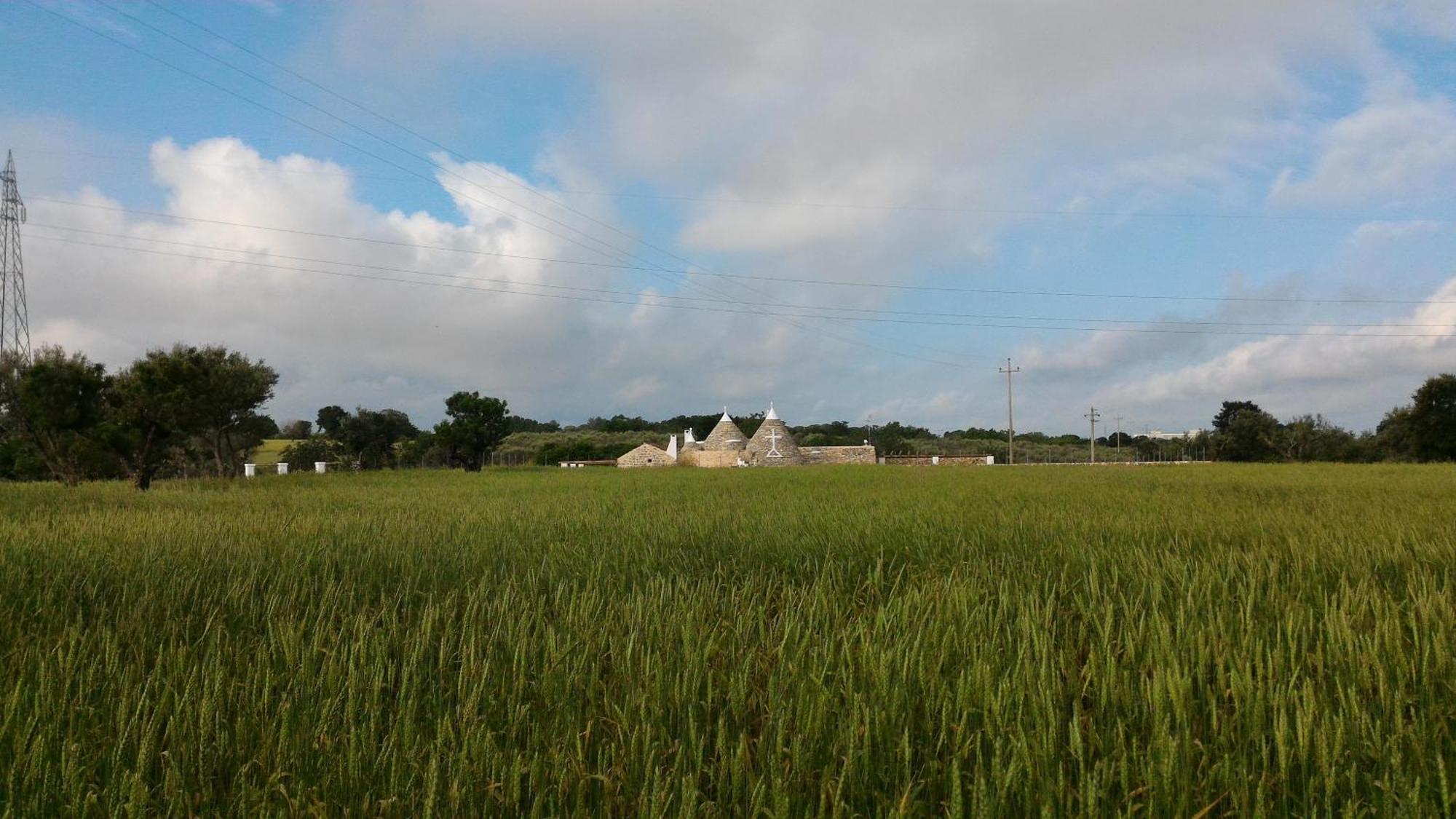Bed and Breakfast Trulli Don Diego Noci Exterior foto
