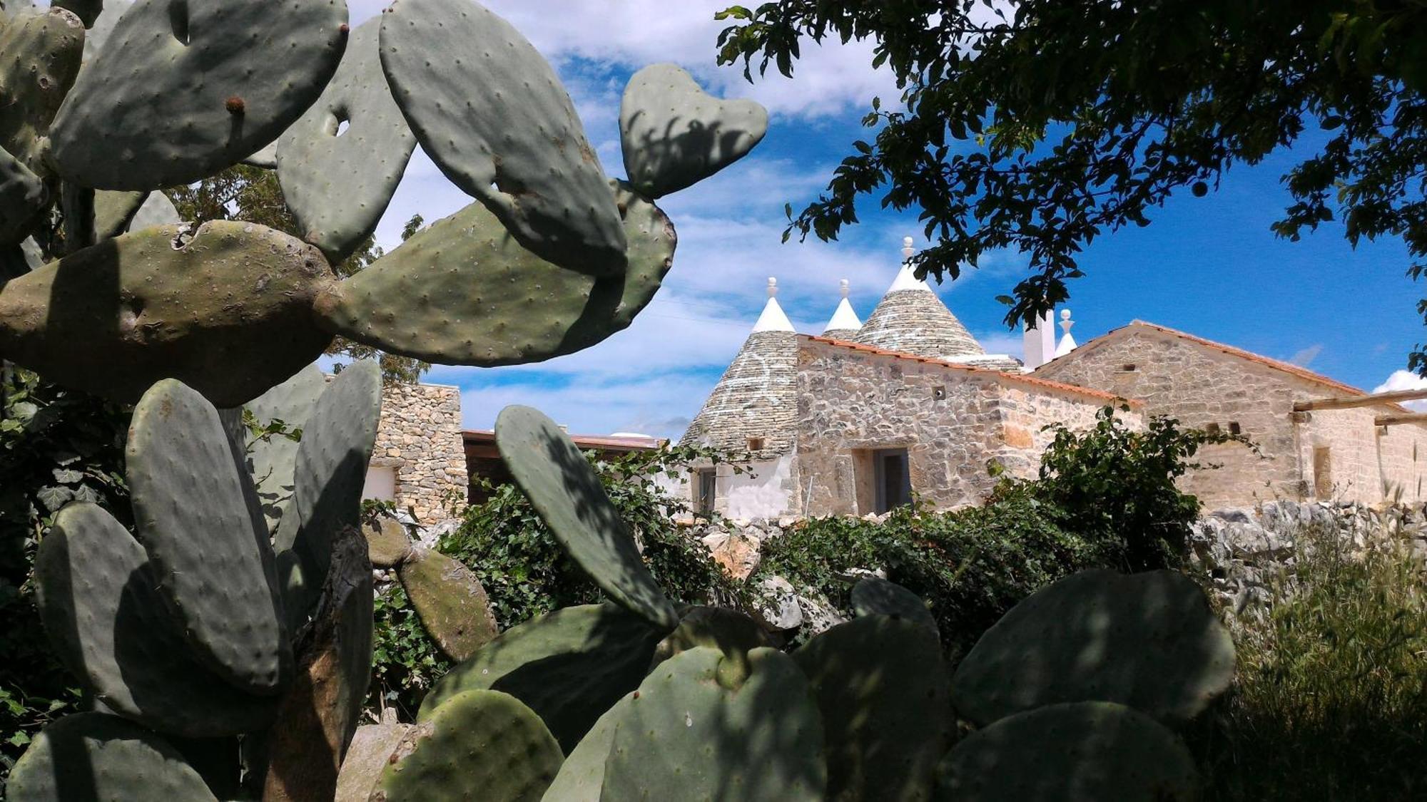 Bed and Breakfast Trulli Don Diego Noci Exterior foto