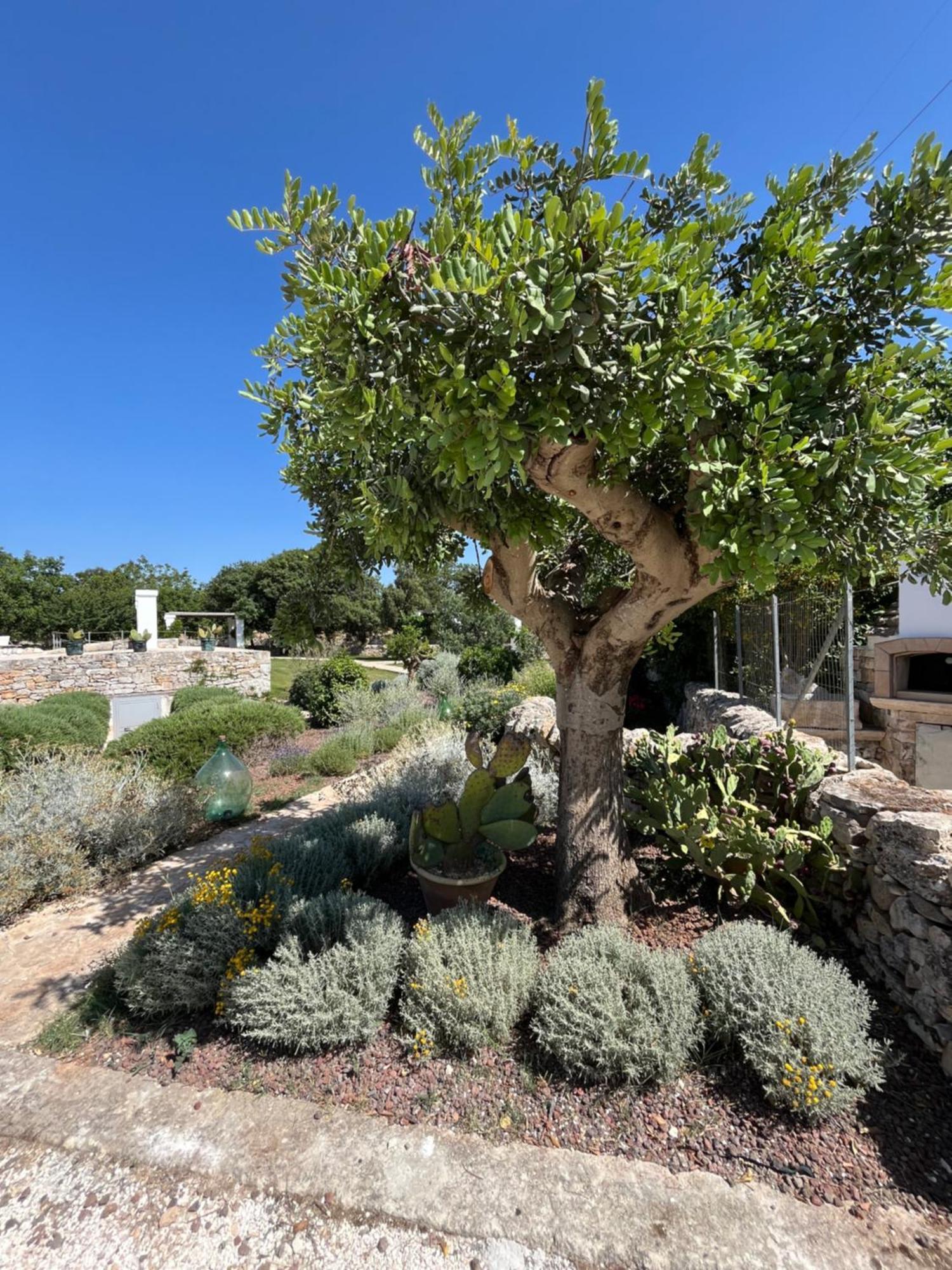 Bed and Breakfast Trulli Don Diego Noci Exterior foto