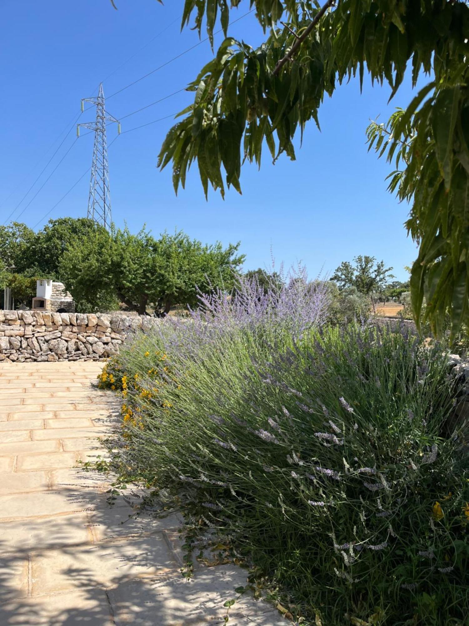 Bed and Breakfast Trulli Don Diego Noci Exterior foto