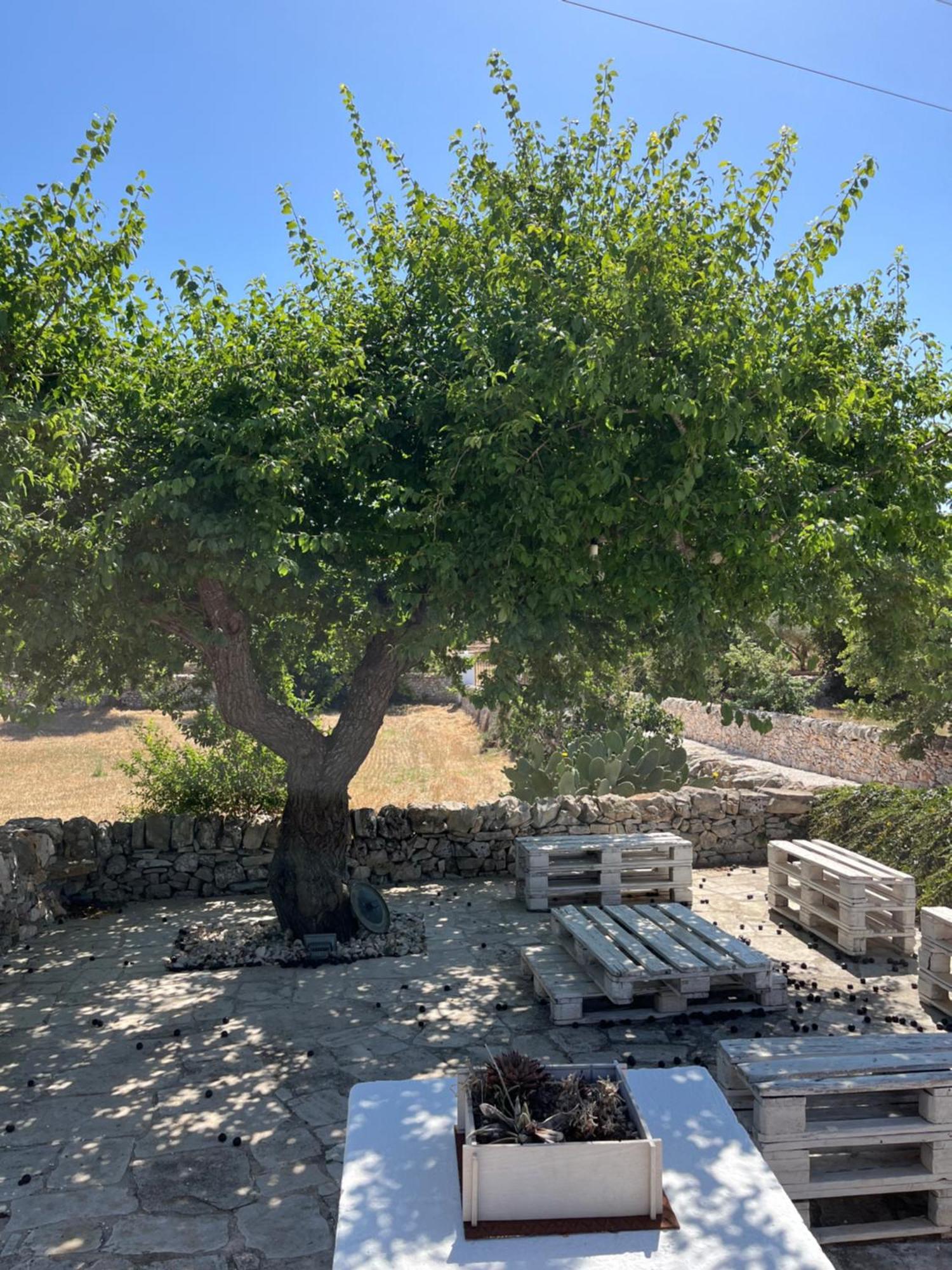 Bed and Breakfast Trulli Don Diego Noci Exterior foto